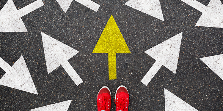 Arrows indicating choice depicting the decision making in a franchise or independent business.