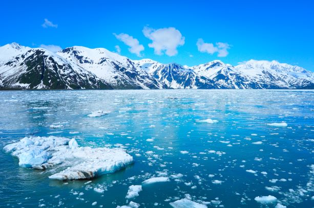 Franchises for sale in Alaska