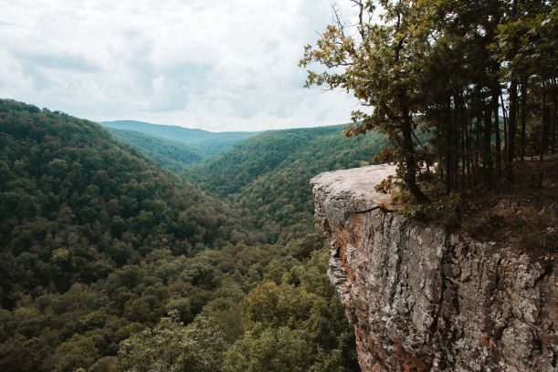 Franchises for sale in Arkansas