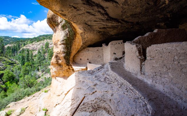 Franchises for sale in New Mexico