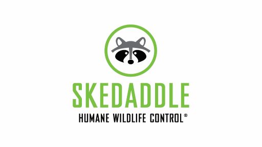Skedaddle