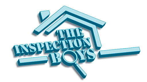 The Inspection Boys
