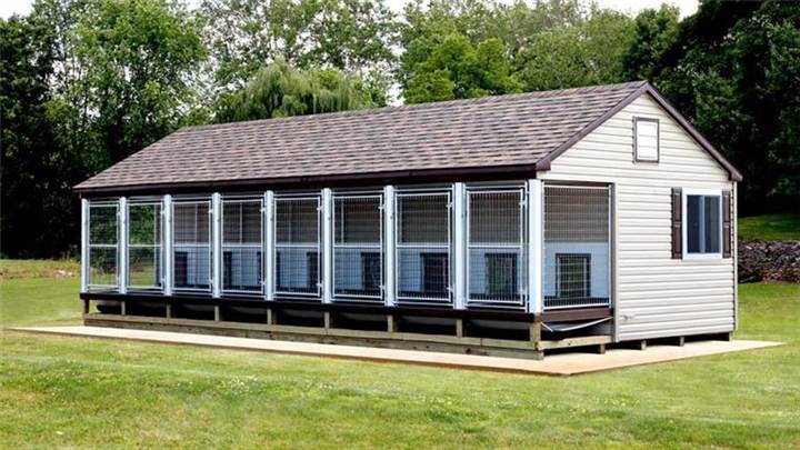 best cosequin for large dogs