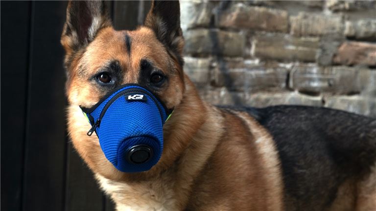 Air Filter Mask for Dogs featured on Shark Tank