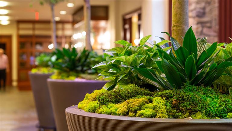 PlantScapes Company with Fortune 500 Accounts