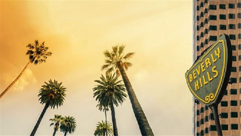 Financial Consulting Company