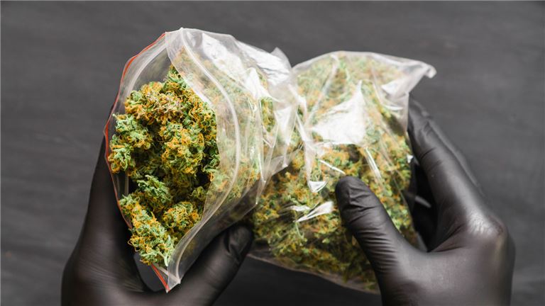 City Of Los Angeles Cannabis Retail &amp; Delivery Business For Sale