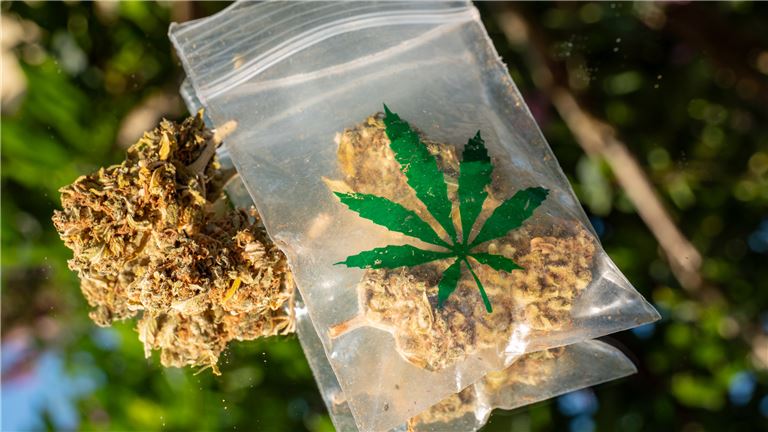 Rare Fully TurnKey Delivery Business For Sale (Ventura County, CA)