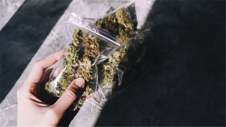 Fully Vertically Integrated Cannabis Retail And Cultivation Empire