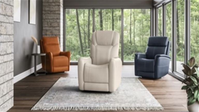 Well Established Retail Furniture Store